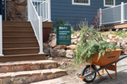 Junk Your Junipers