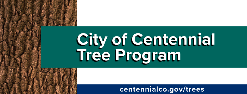 Centennial Tree Program