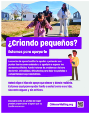 cohomevisiting.org poster (espanol)