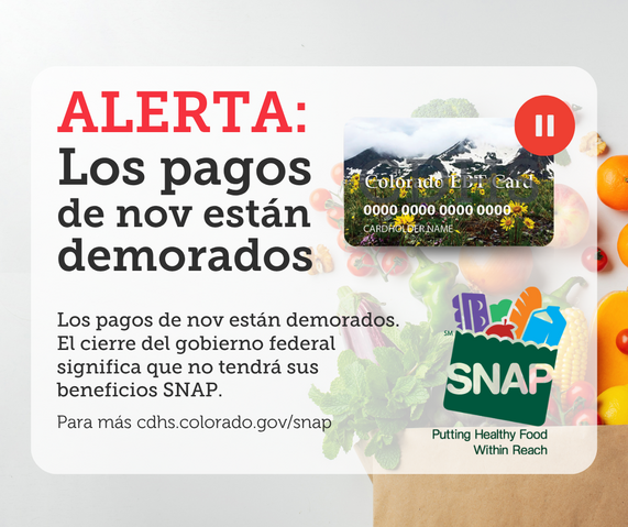 SNAP Graphic Espanol