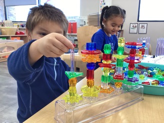 Tammy D Nobles Story