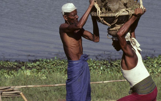 Bengali laborers haul clumps of sod during an excavation