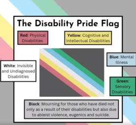 The Dissability Pride Flag.