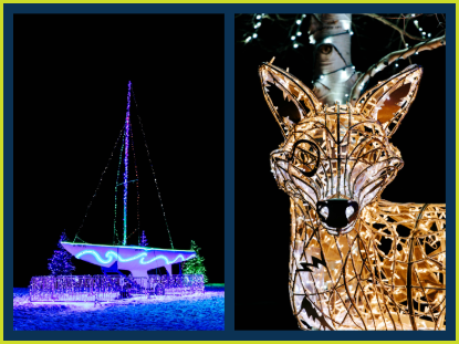 An image of an illuminated boat and illuminated fox 