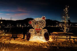 A whimsical teddy bear illuminated by colorful lights, creating a warm and enchanting atmosphere.
