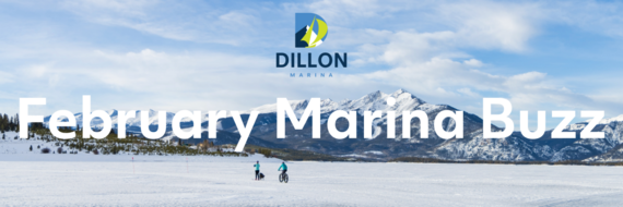 February Marina Buzz