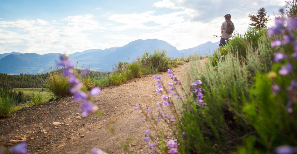 A man is biking on a trail lined with lush purple flowers, enjoying the outdoors.