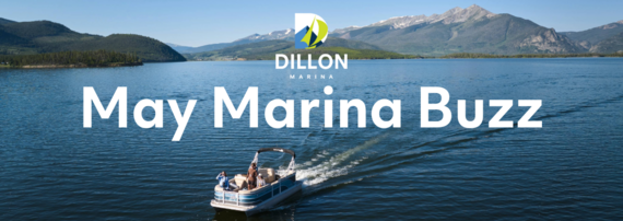 A vibrant marina scene in May, featuring boats and lively activity on the water under a clear blue sky.