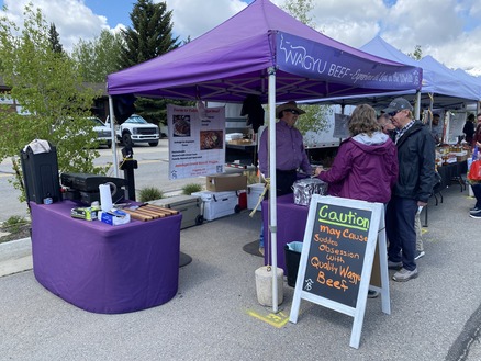  Several individuals gather around a purple tent, with purple tables arranged around it.
