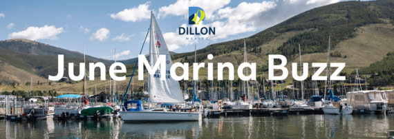 June Marina Buzz