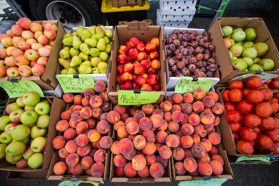 A vibrant assortment of fresh fruit displayed at a farmers market, showcasing apples, oranges, and berries.