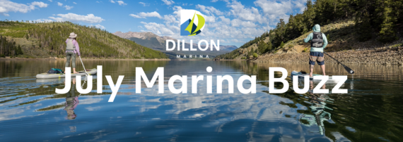 A vibrant marina scene in July, bustling with boats, people, and summer activities under a clear blue sky.