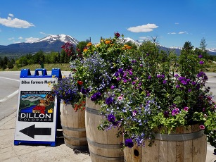 A sign reading "Dillon" surrounded by colorful flowers arranged in wooden barrels.