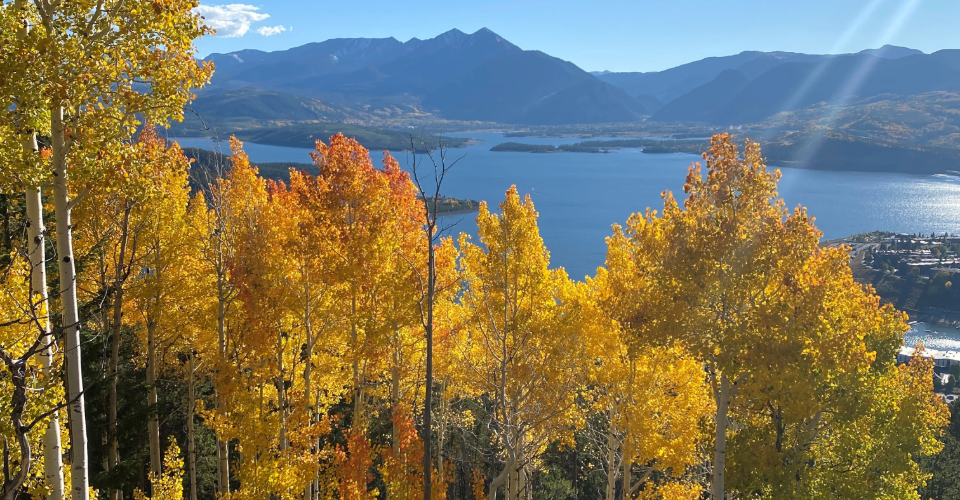 Scenic view of mountains and a tranquil lake from a hilltop, showcasing natural beauty and serene landscape