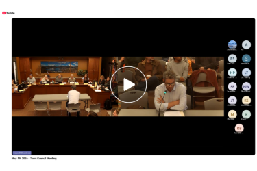 An image of an online meeting