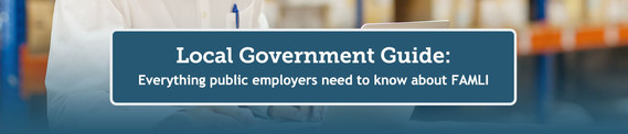 Local Government Guide banner image