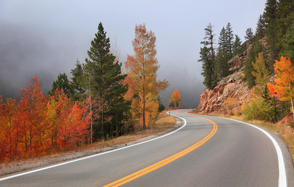 Highway road through foggy mountains with fall trees