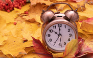 clock in leaves