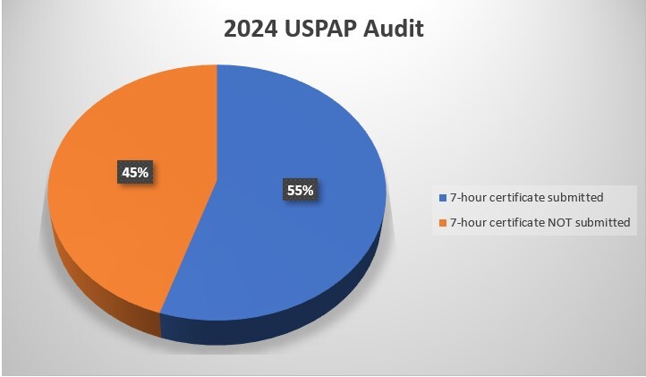 2024 USPAP audit image