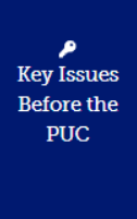 Key Issues Before the PUC icon