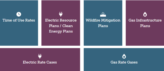 Key Issue Topic examples