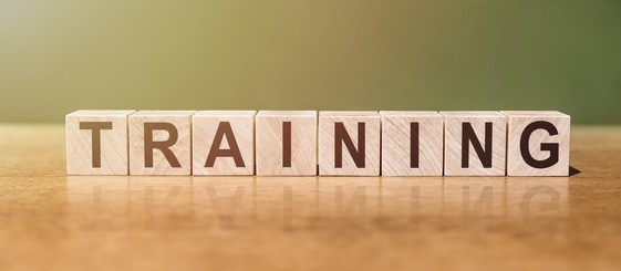 Wooden blocks arranged to spell the word training on a table