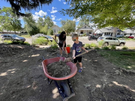 Lawn Replacement Photo