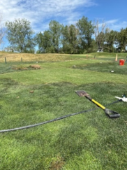 Green grass with punched aeration holes.