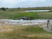 A picture of standing water on a cart path