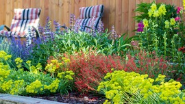 Colorful flowers adorn a water-wise planter