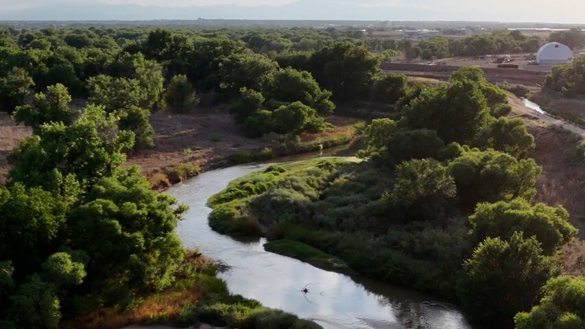 The Poudre River, flanked by cottonwood trees, winds through brown and green farmland on a sunny day.