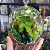 Emerald Isle Terrarium photos
