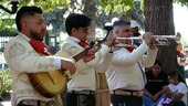 Mariachi Players stand side by side playing for audience