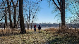Image of two people walking in a wooded park