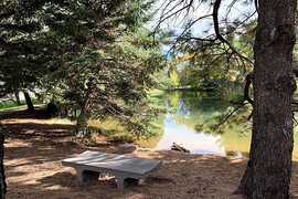 Scenic view of water and nature at Houston Gardens