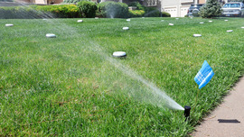 Small bowls catch water from an irrigation sprinkler