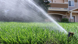 water sprinkler spraying water on grass