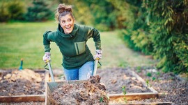 woman pushes wheelbarrow full of mulch.