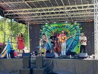 Elle Michelles Grateful Holler Band 