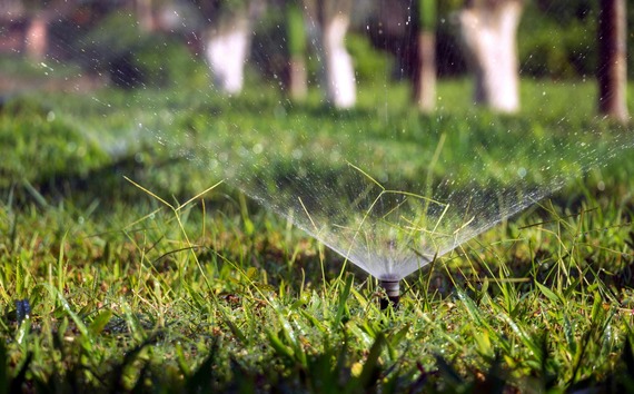 picture of sprinklers