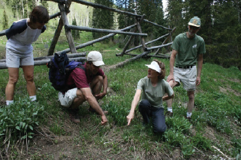 group hiking on a trail and a women pointing to flora on the trail