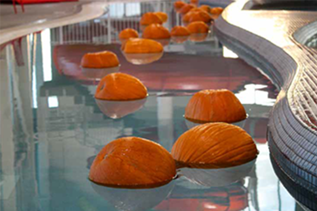 Photo of Pumpkins floating in a pool