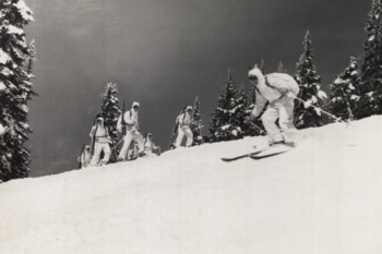 Ski: historic photo of downhill skiing