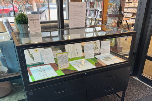 Herbarium: Image of glass display case with dried plants