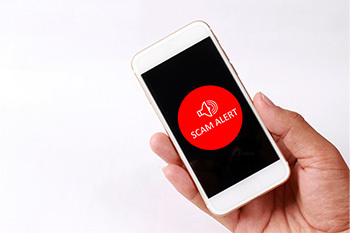 Photo of scam alert on phone