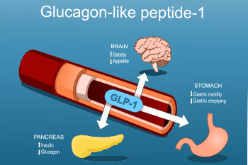 Informational on GLP-1