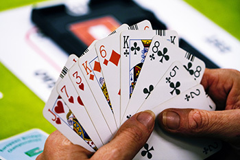 photo of someone playing the card game bridge 