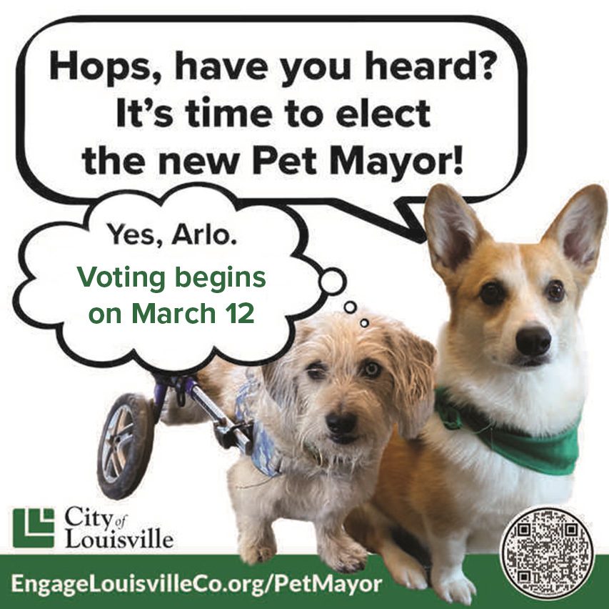 Arlo and Hops telling Louisville that it is time to elect a new pet mayor and that voting begins on March 12