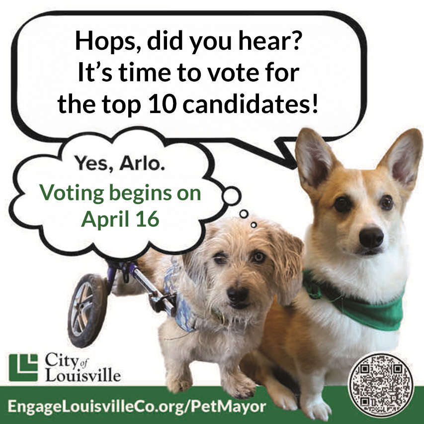 hops telling Arlo that round two of voting begins on April 16