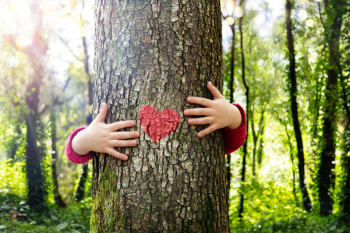a child's hands hug a tree trunk with a heart painted on it